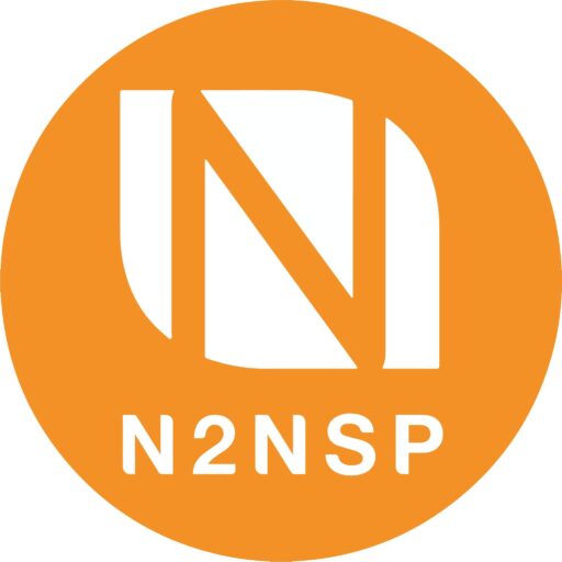 N2N Solution Provider | N2NSP